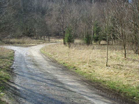 Foto 10